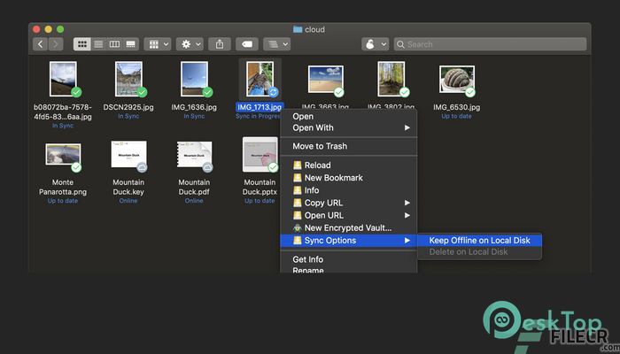 Download Mountain Duck 5.0.4.28064 Free Full Activated