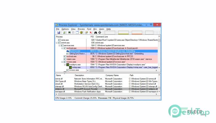 Download Process Explorer  17.08 Free Full Activated
